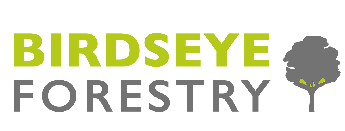 Birdseye Forestry