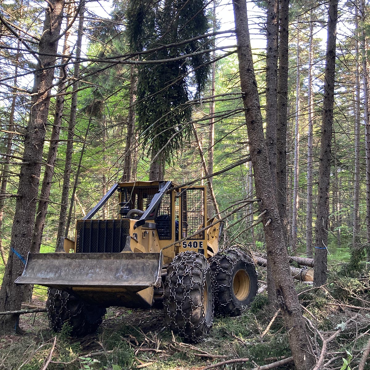 Forestry equipment